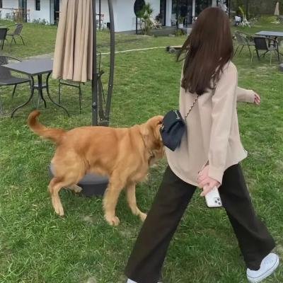 占领下的卢浮宫