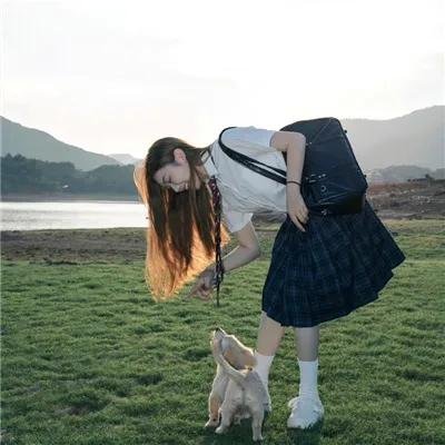 键盘猫